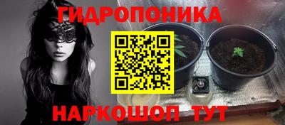 ECSTASY Бузулук