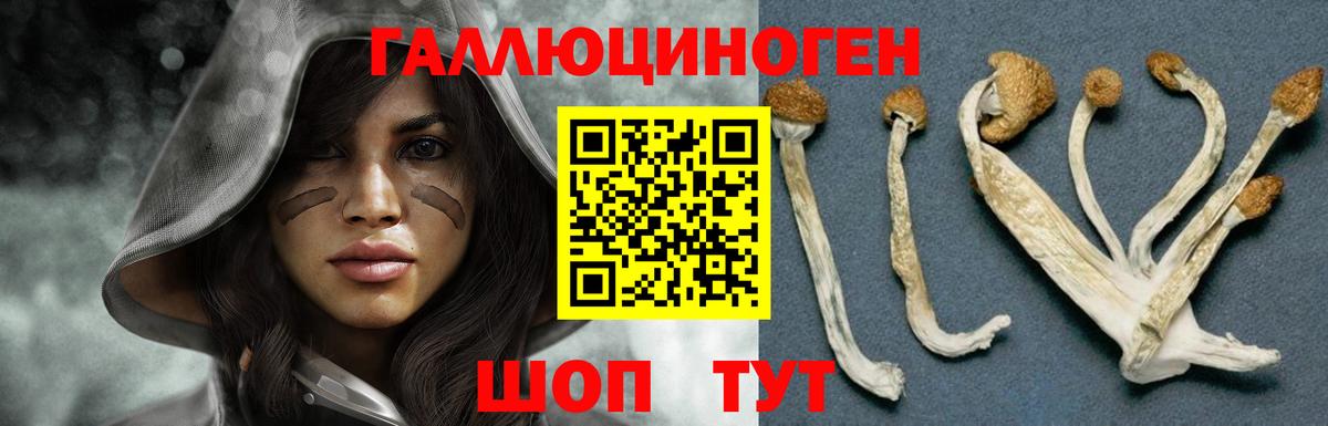 Псилоцибиновые грибы Psilocybe  наркота  Озёры  Вход с VPN 